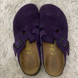 Royal Purple Boston Clog Birkenstock